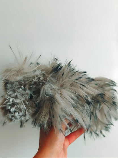 🥕 Rex le cochon d'inde / guinea pig 💖