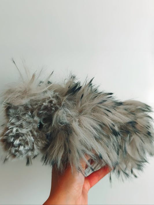 🥕 Rex le cochon d'inde / guinea pig 💖
