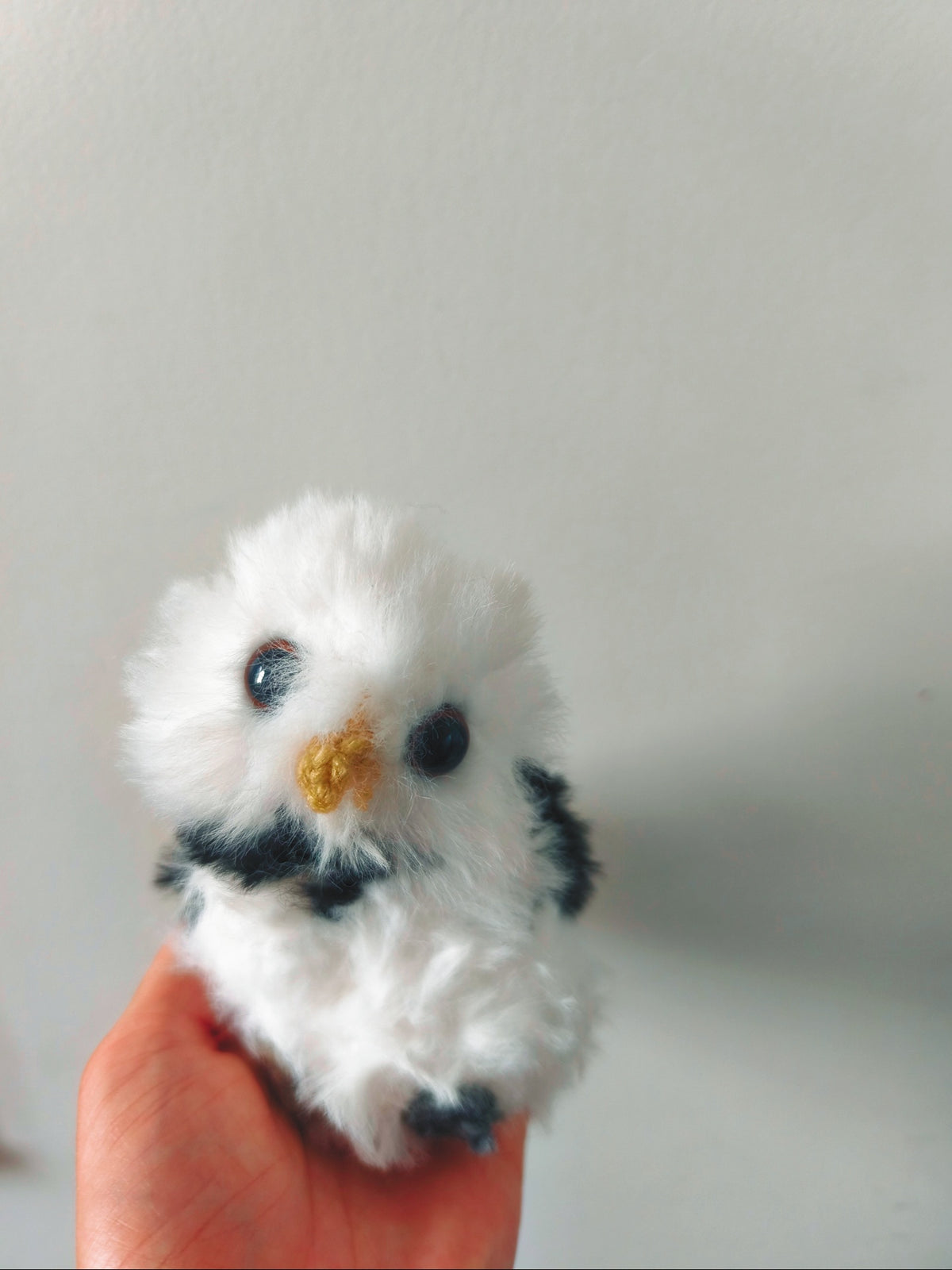 🦉 Mireille