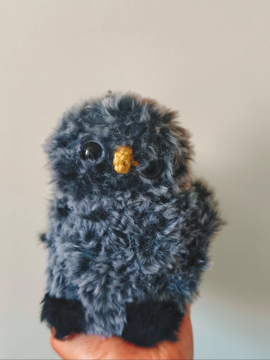 🦉 Bubble