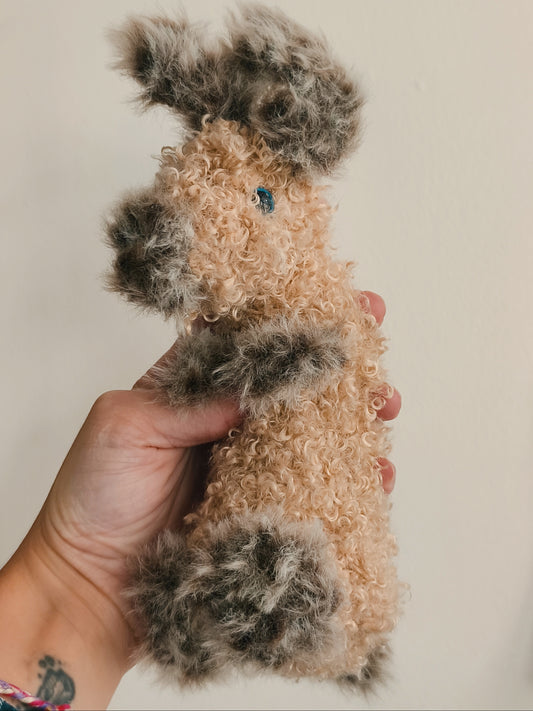 Petit lapin, small rabbit, Jeannot