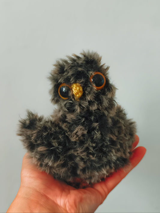 🦉 Bébé hibou, baby owl, Tamriel