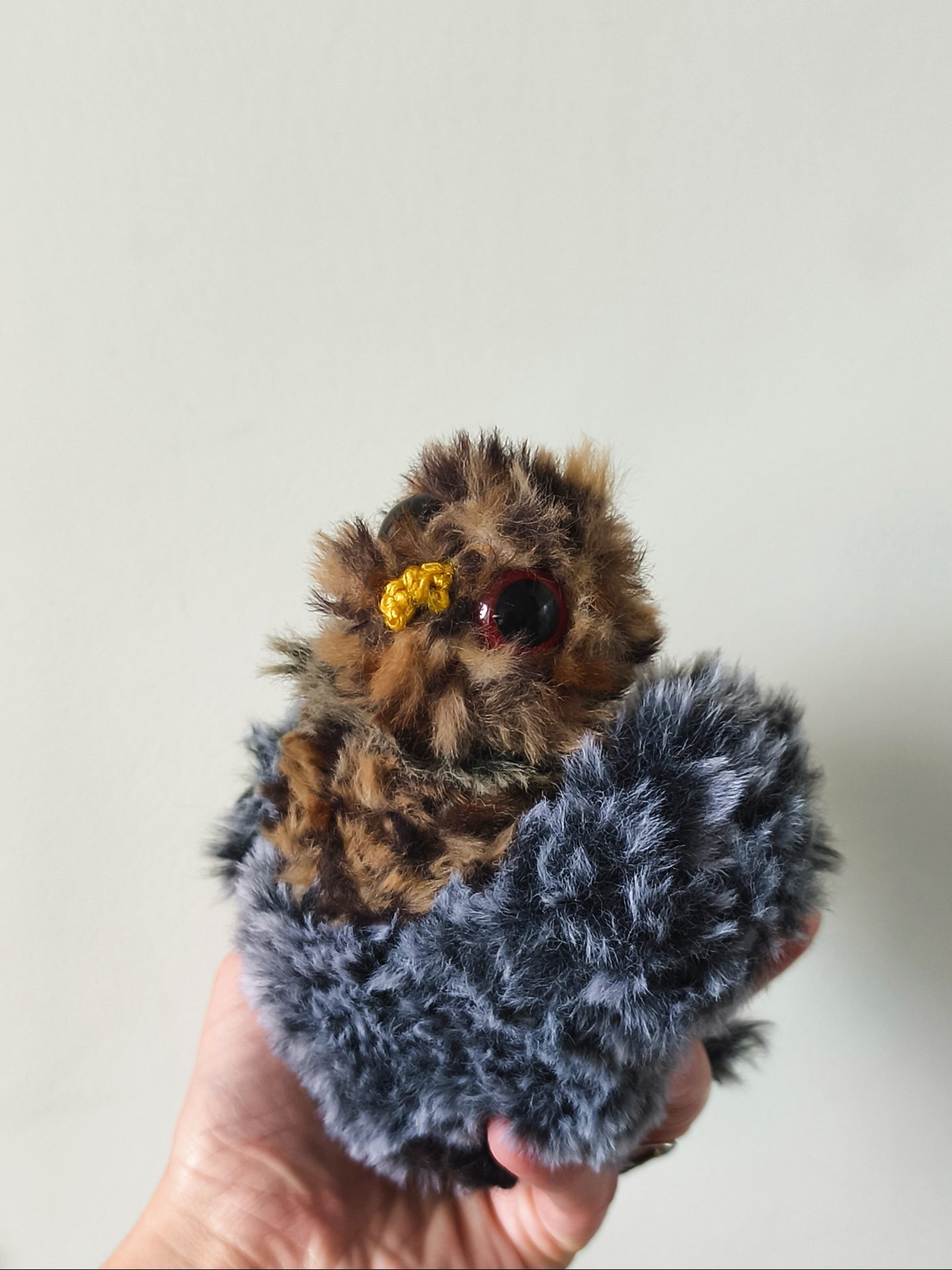 🦉Gus