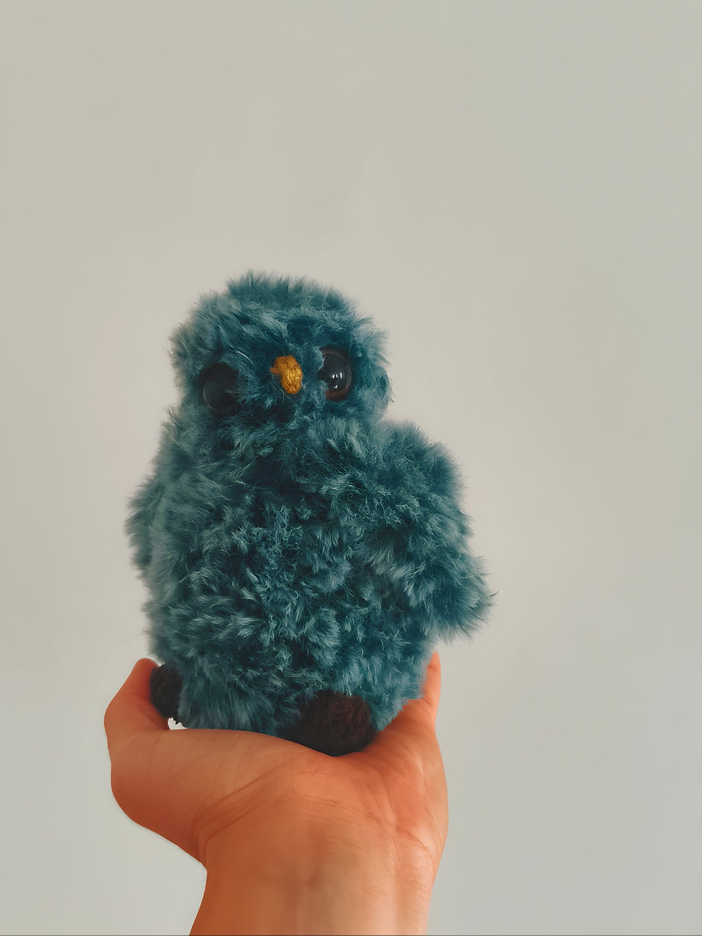 🦉 Bébé hibou, baby owl, Casper