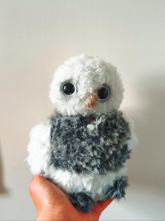 🦉 Tulip