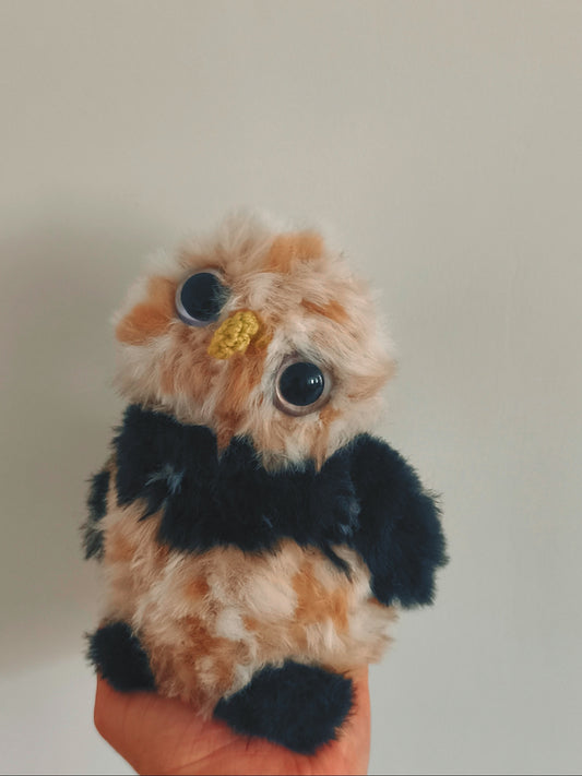 🦉 Atlas