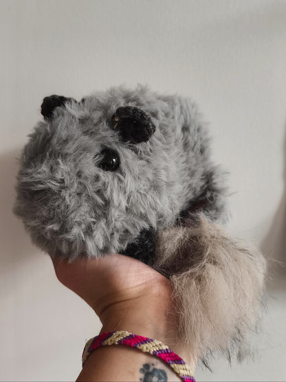 🥕Chinchilla, Spirit