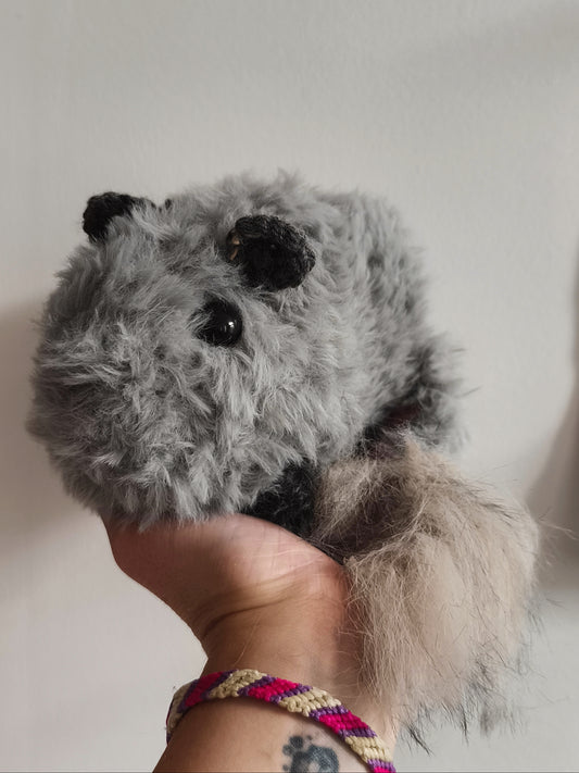 🥕Chinchilla, Spirit