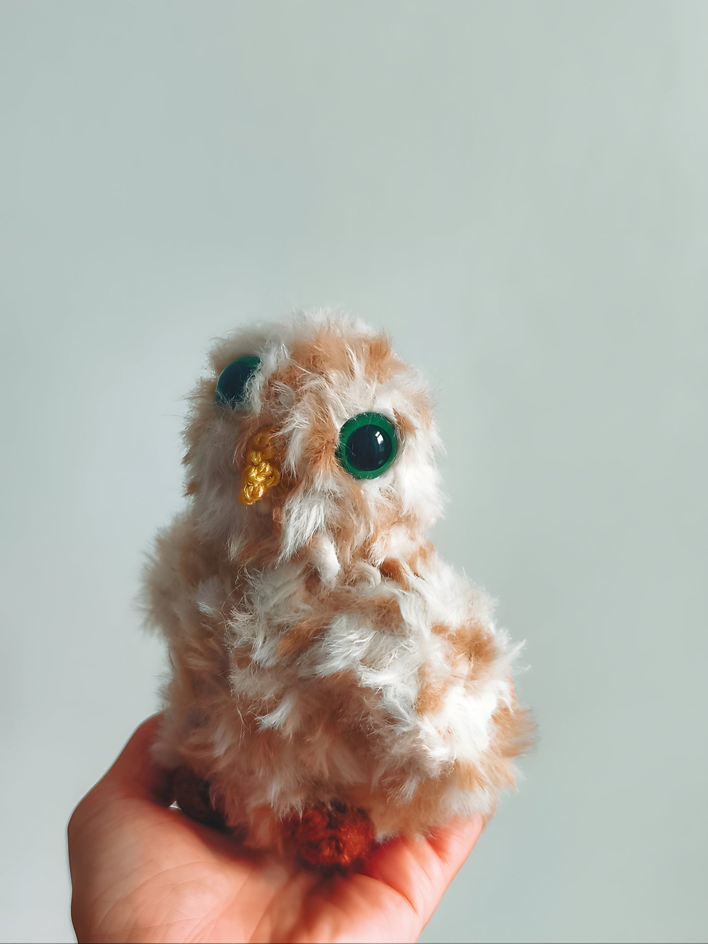 🦉Bébé hibou, baby owl, Noon