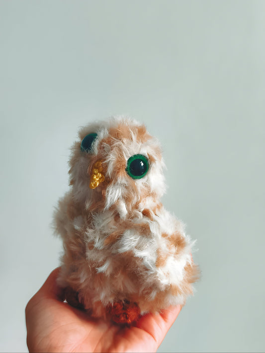 🦉Bébé hibou, baby owl, Noon
