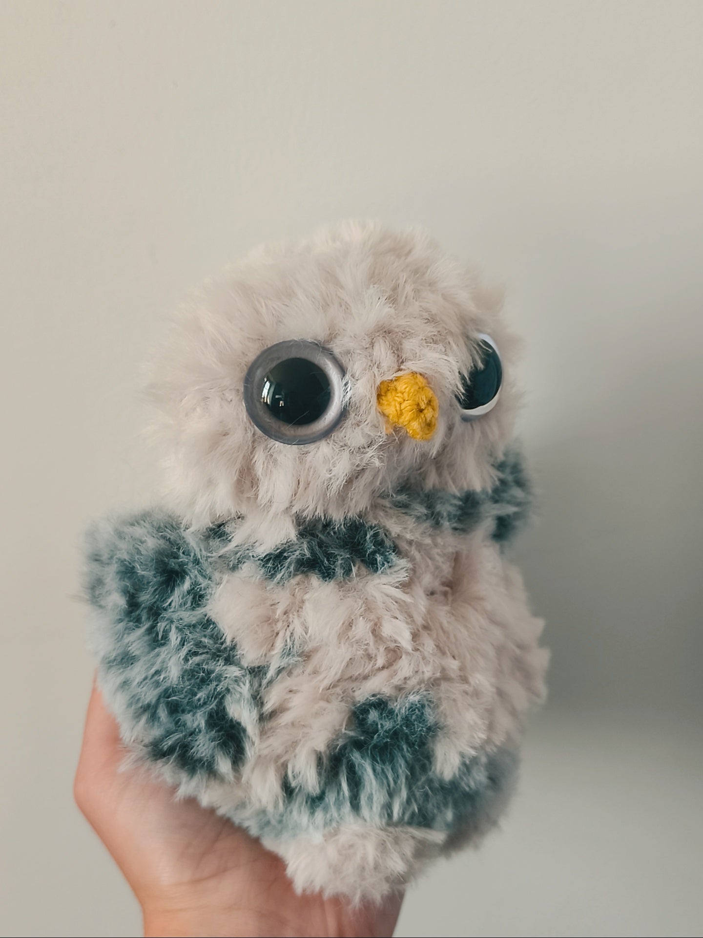 🦉 Casimir