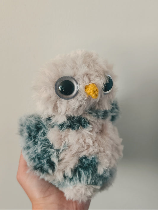 🦉 Casimir