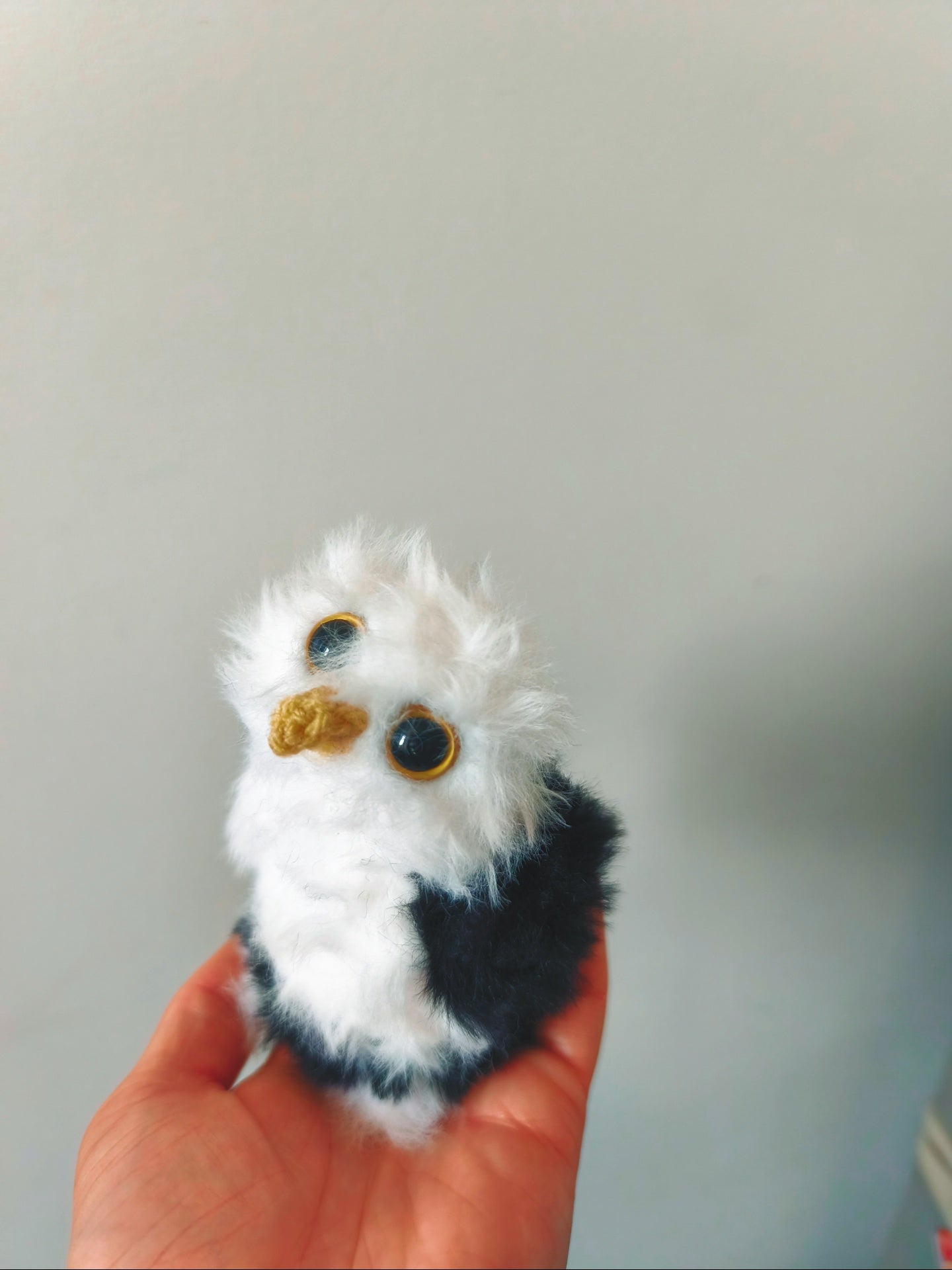 🦉Orville