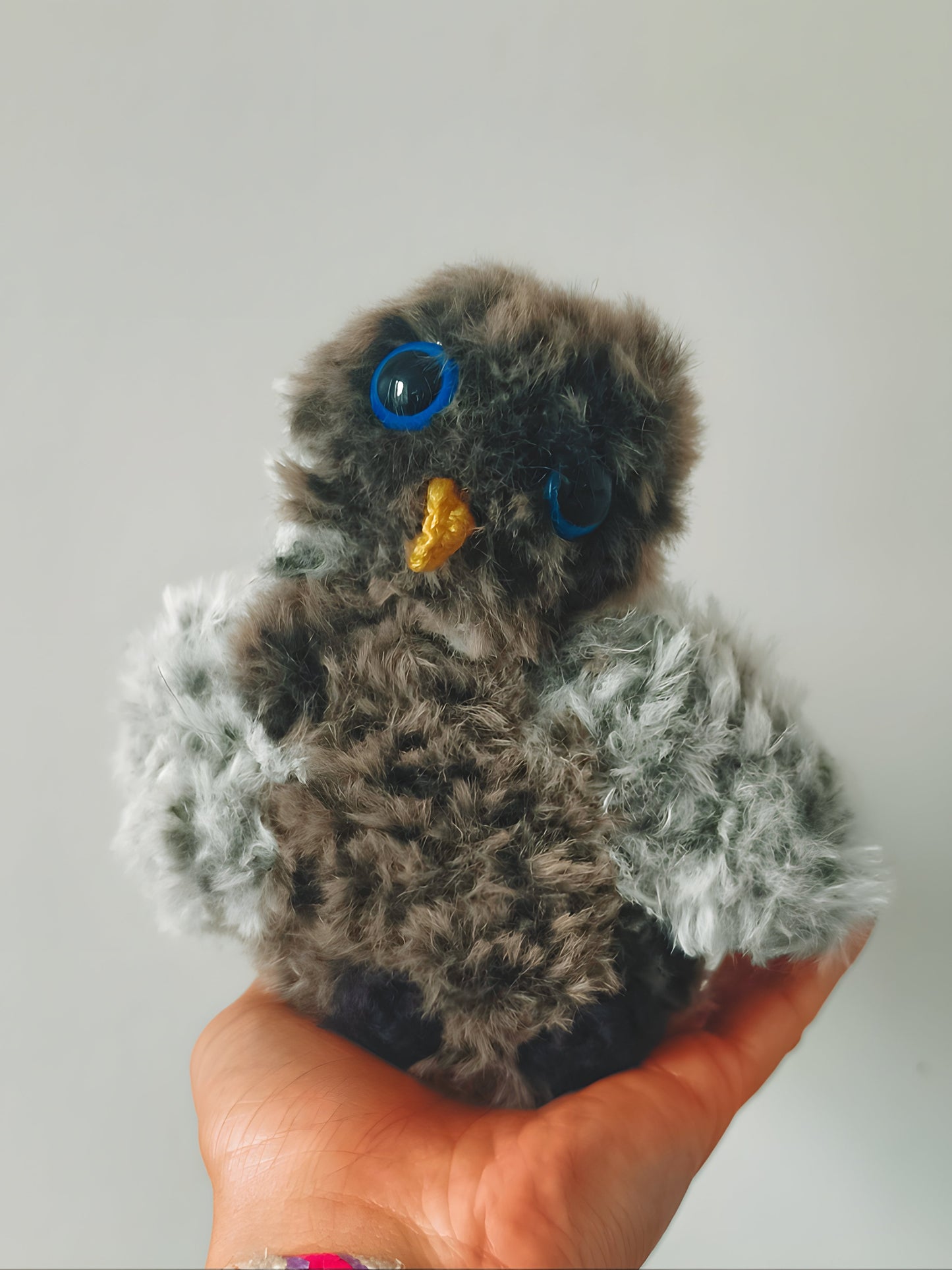 🦉 Bébé hibou, baby owl, Neo