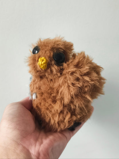 🦉Bébé hibou, baby owl, Choco