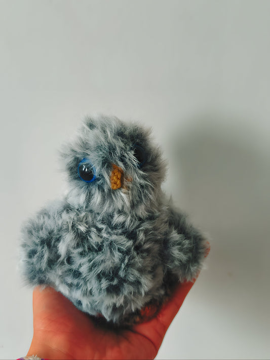 🦉Bébé hibou, baby owl, Copain