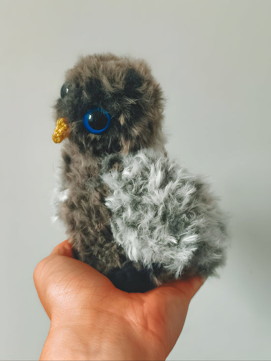 🦉 Bébé hibou, baby owl, Neo