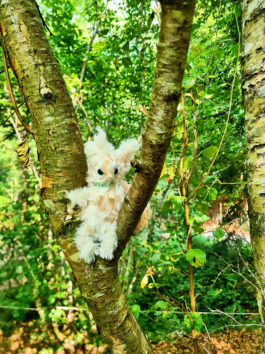 🌸 Petit elfe des bois, wood elf ( Lindōrie )