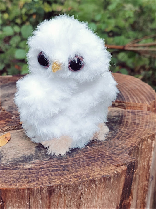 🦉 Blancheline