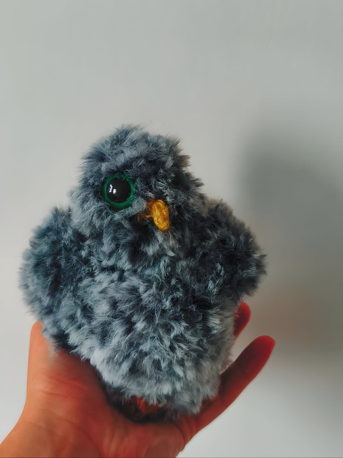 🦉 Bébé hibou, baby owl, Baloo