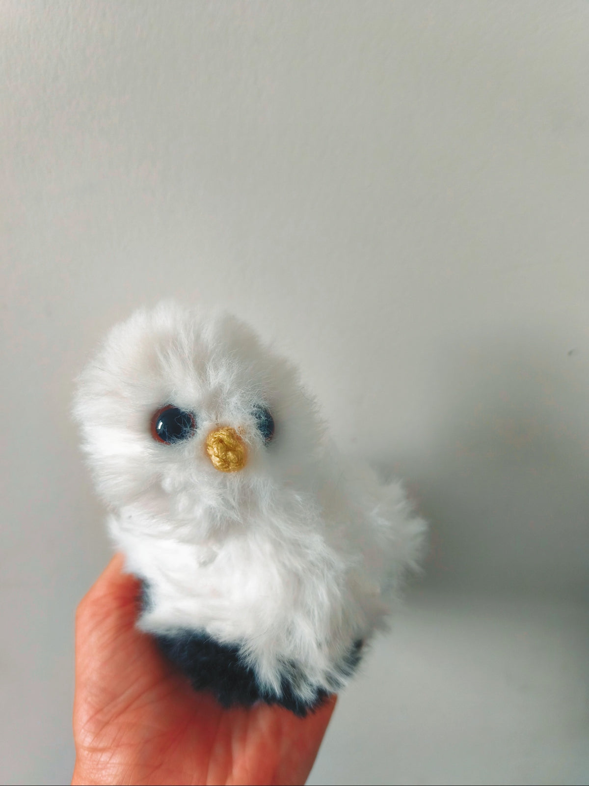 🦉Titou