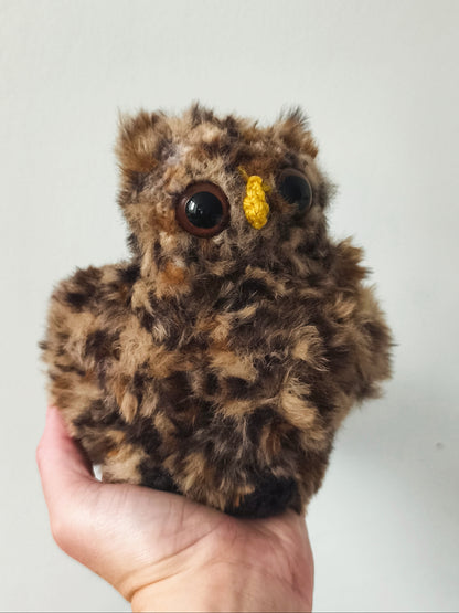 🦉 Gros hibou, big owl, Brownie