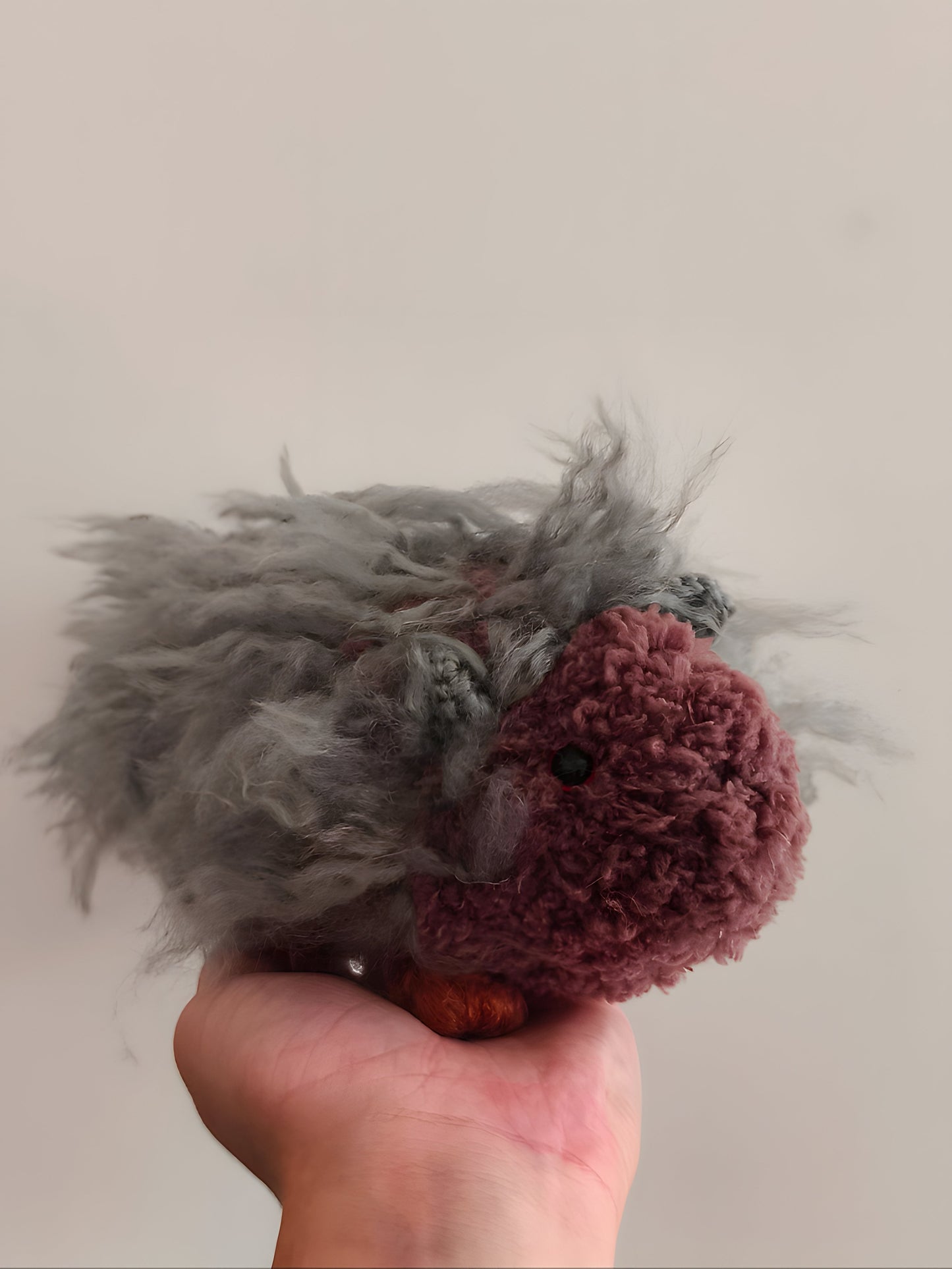 🥕 Cobalt le cochon d'inde, guinea pig
