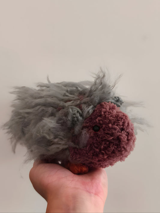 🥕 Cobalt le cochon d'inde, guinea pig