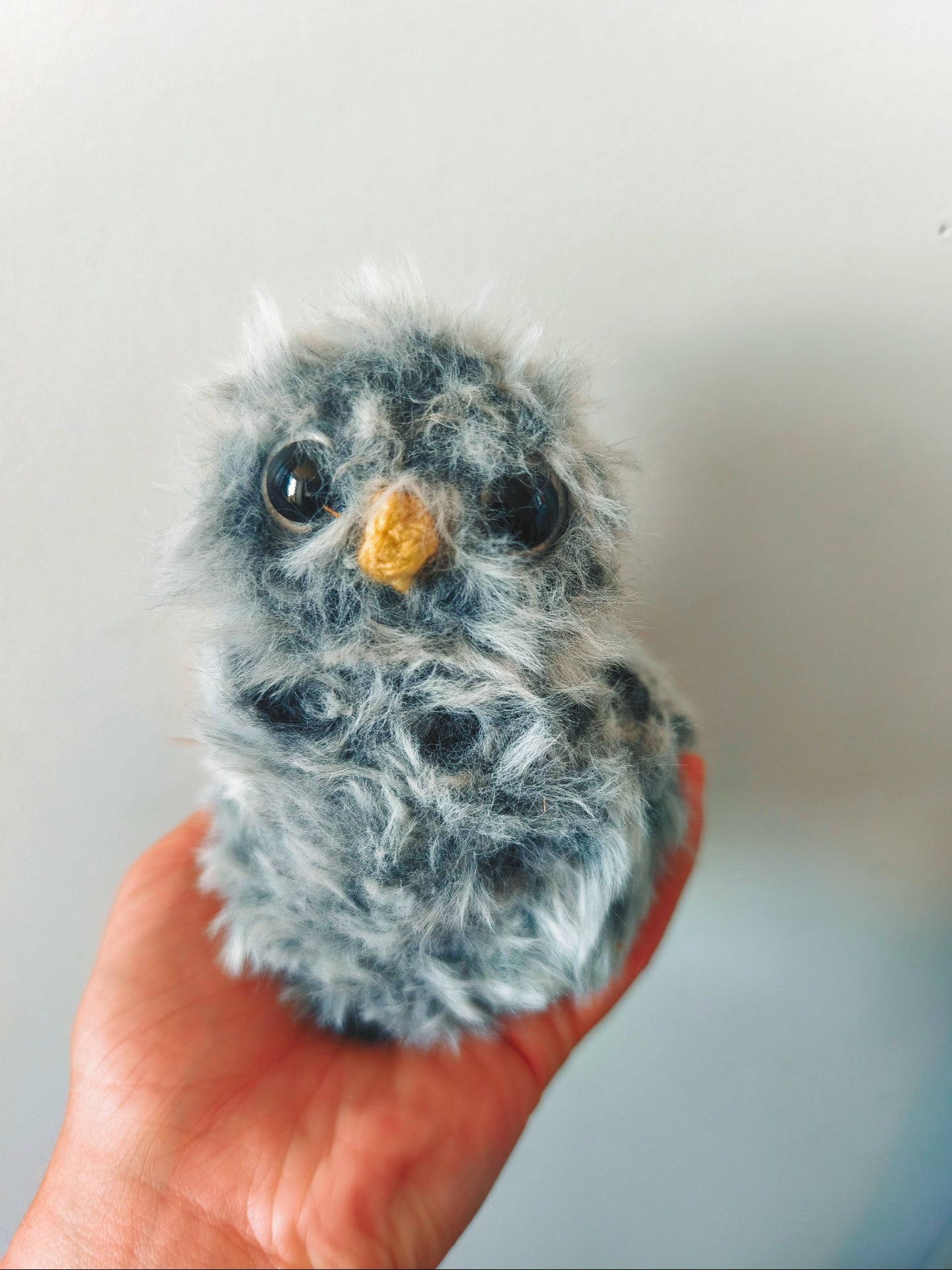 🦉Barold