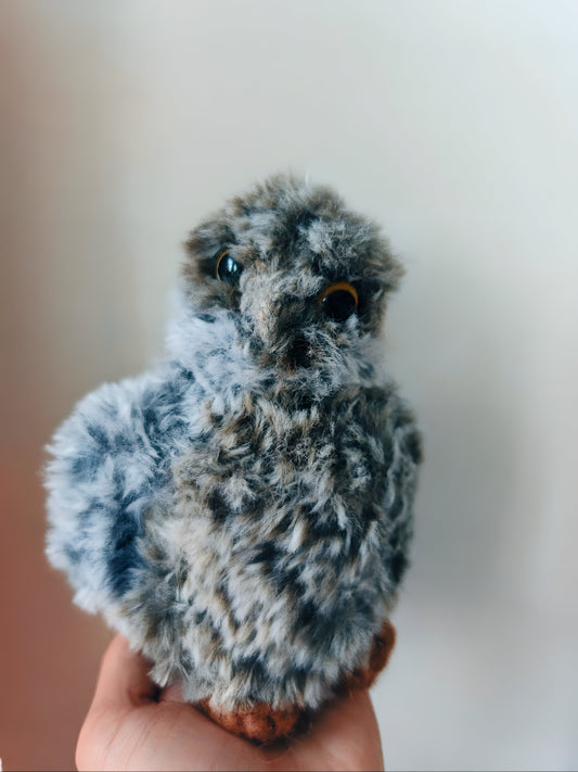 🦉Bébé hibou, baby owlet (Nounours)