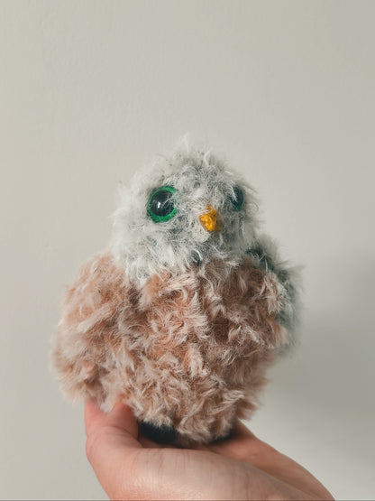 🦉Bébé hibou,baby owl,Ablette