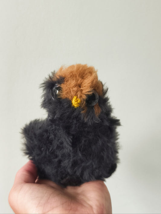 🦉Bébé hibou, baby owl, Sweet