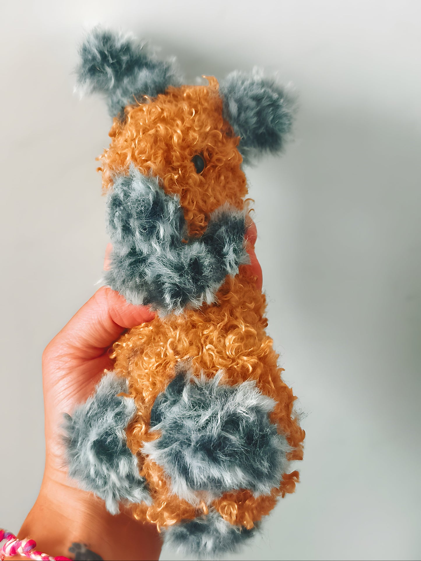 🐇 Lapin nain, small rabbit, Tagada