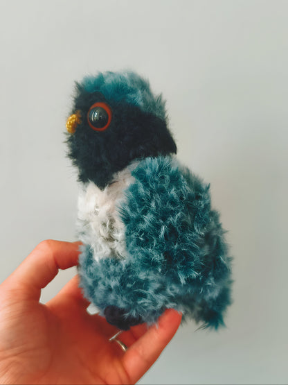 🦉 Bébé hibou, baby owl, Merry