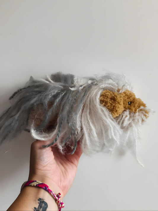 🥕 Luna le cochon d'inde, guinea pig