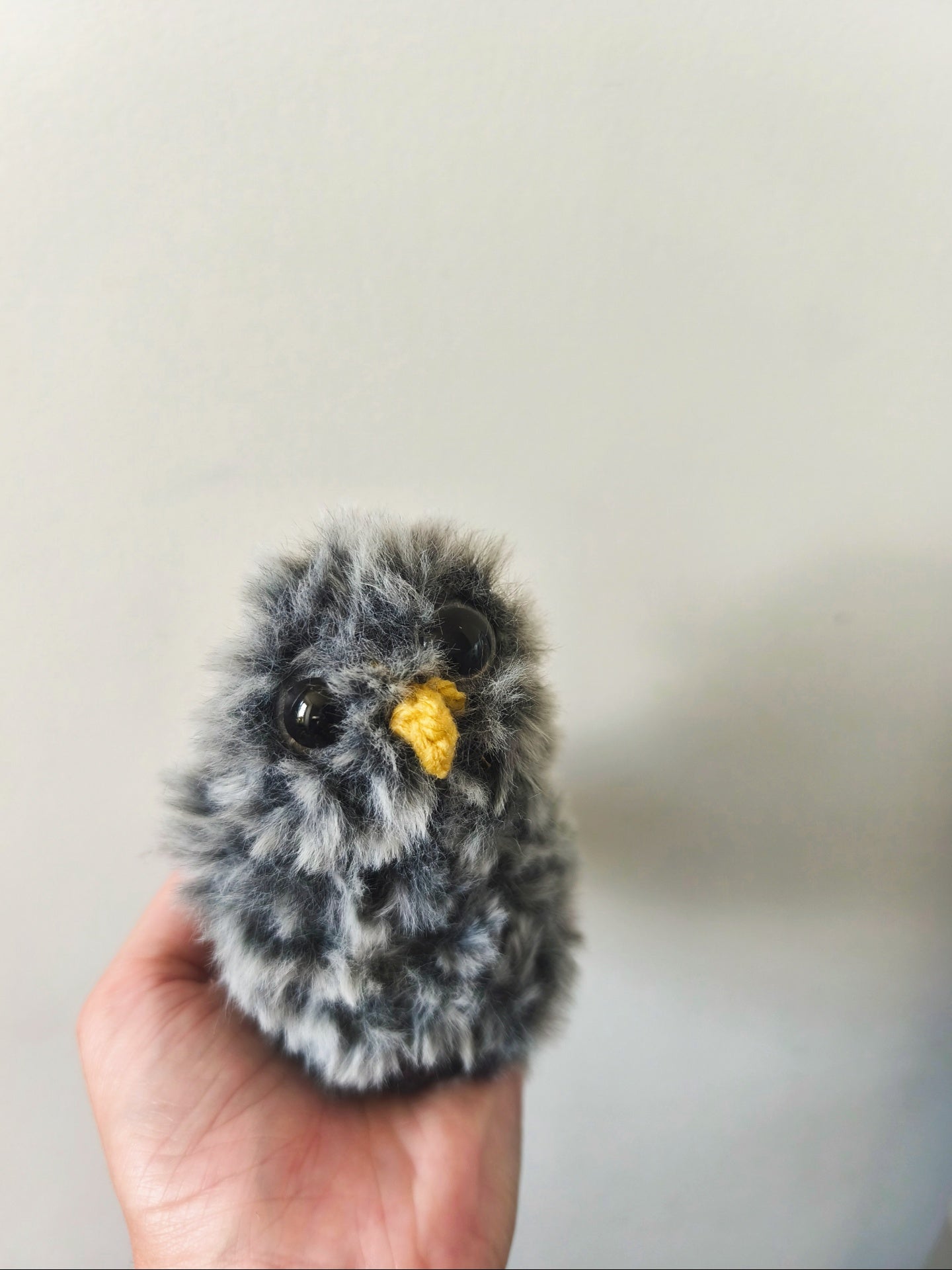 🦉 Nook