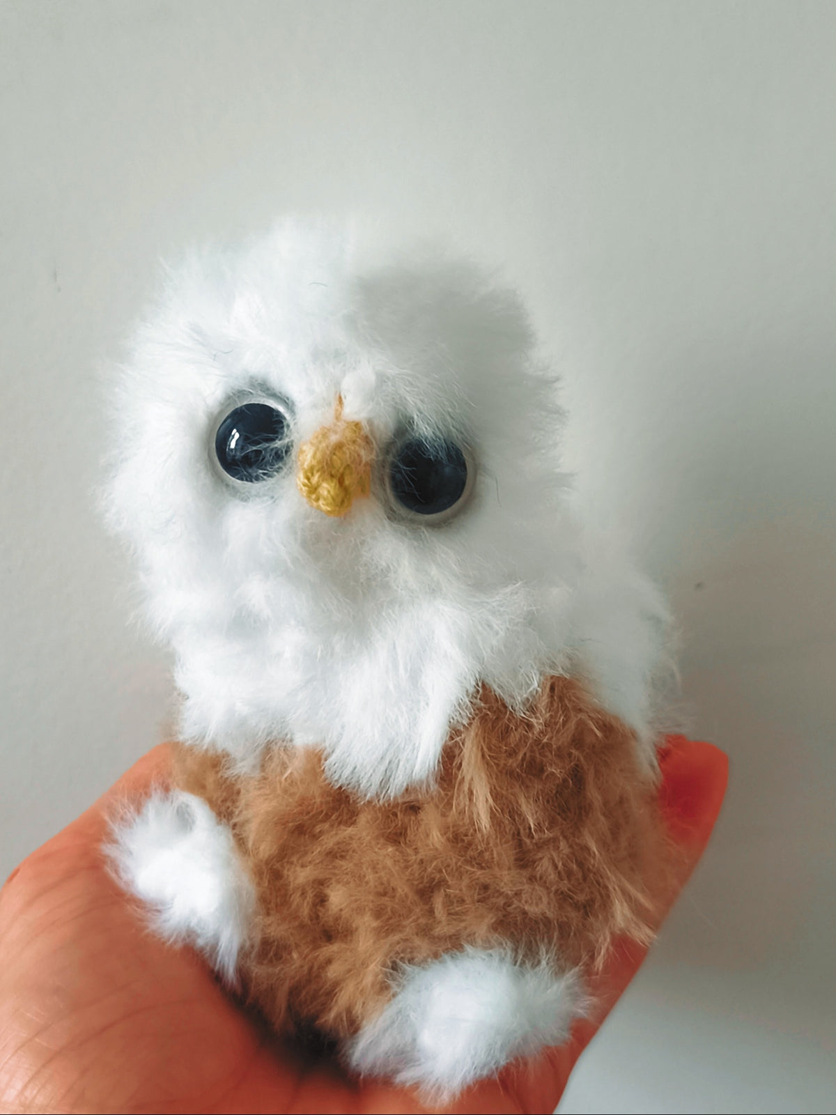 🦉Biscuit
