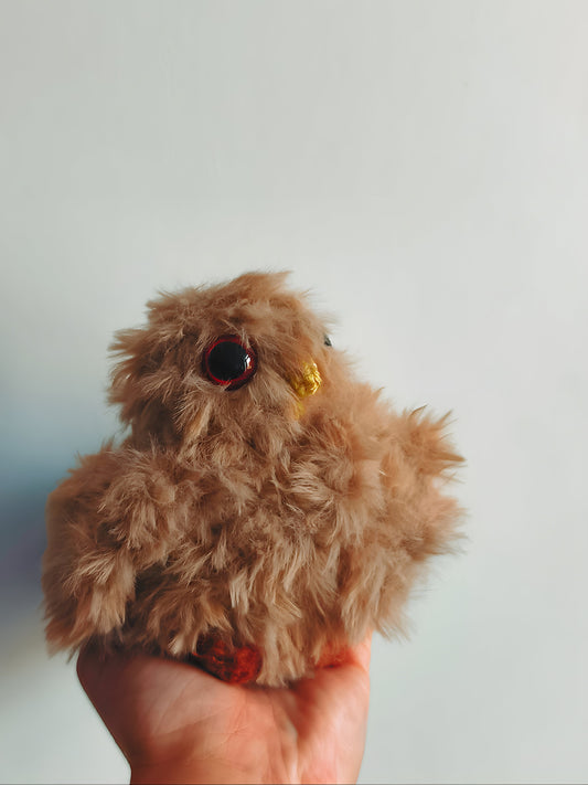 🐦Petit oiseau, small bird, Guizmo