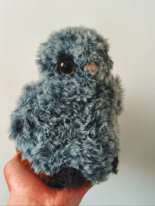 🦉 Chichi
