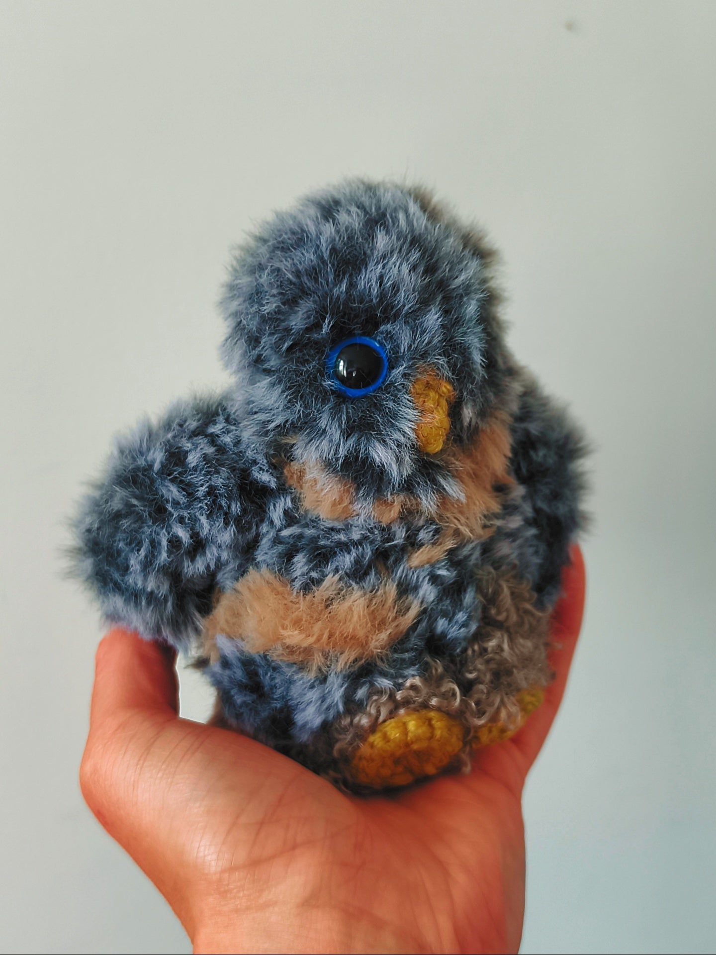 🦉Dolby