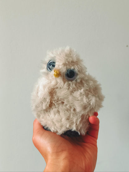 🦉Bébé hibou, baby owl, Nini