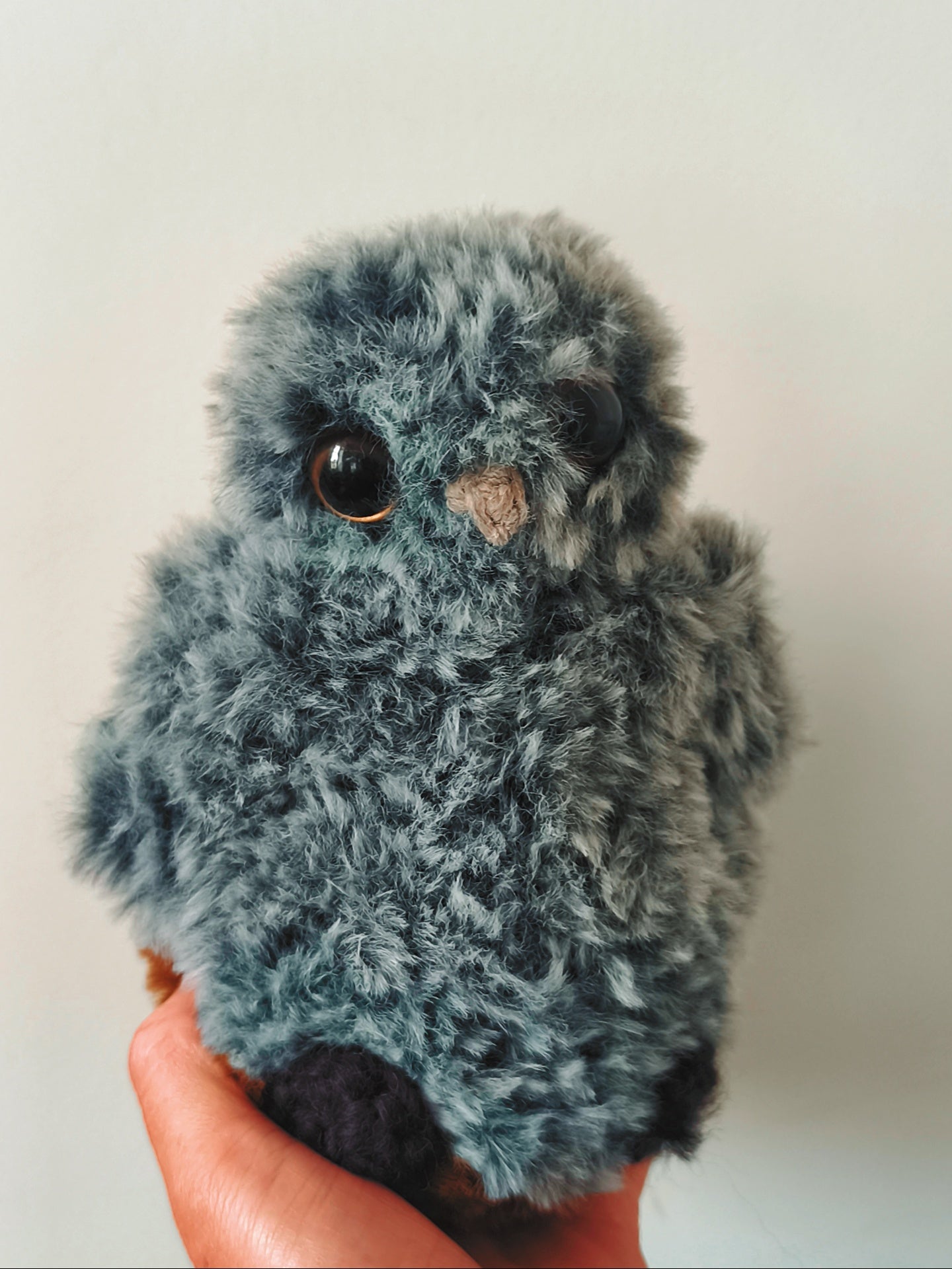 🦉 Chichi