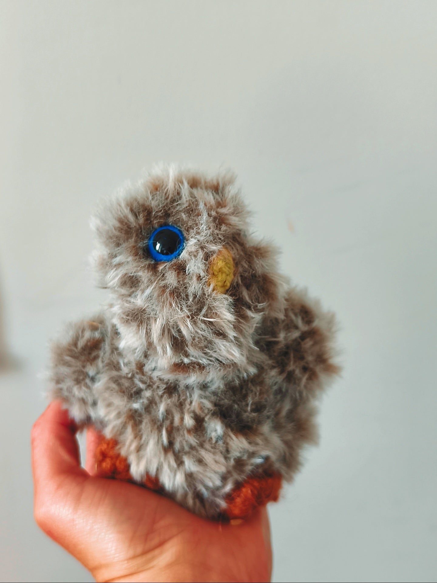🦉Billy