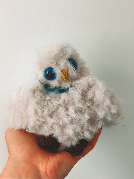 🦉 Bébé hibou, baby owl, Gimli