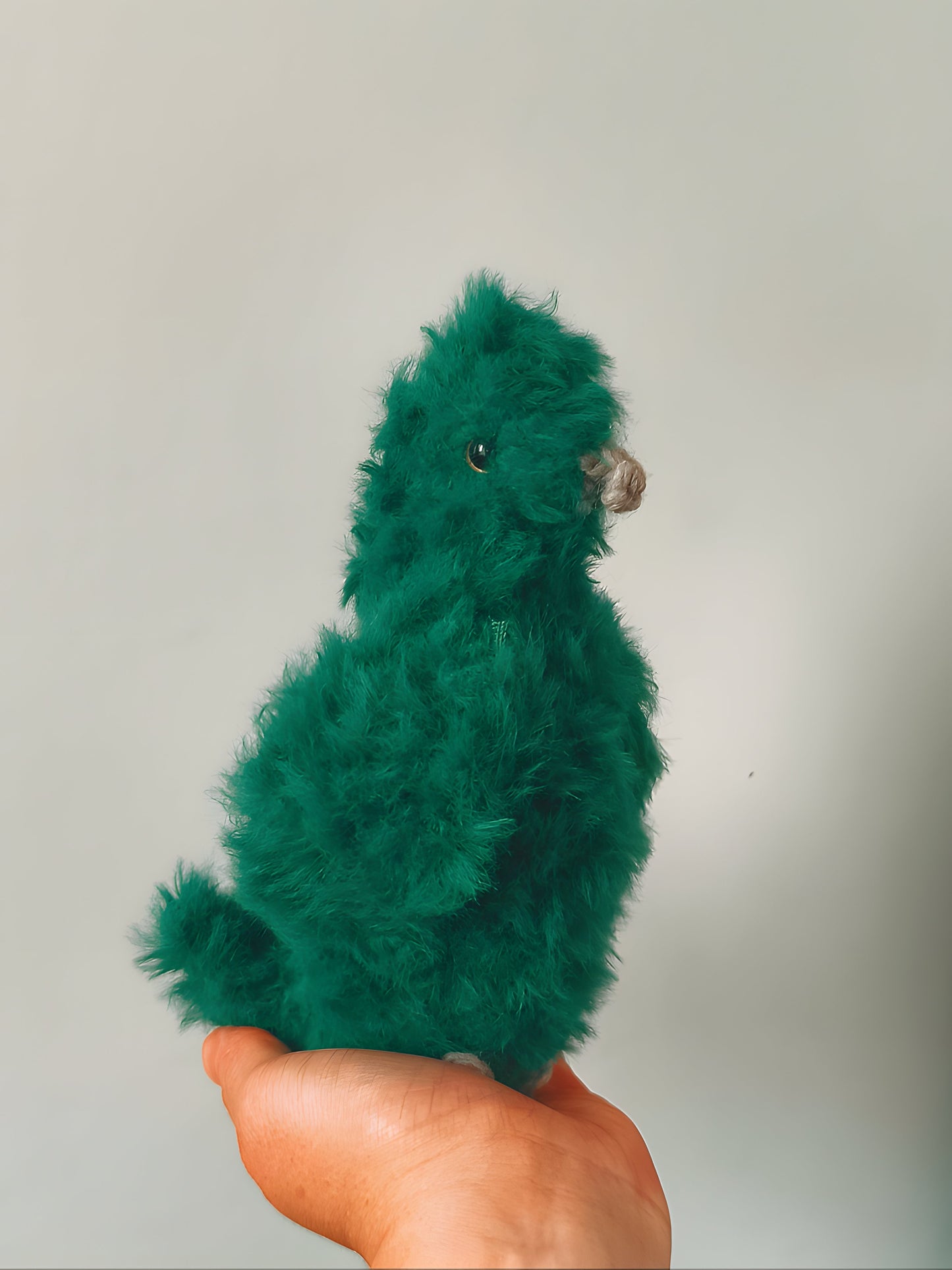 🦜 Perruche, budgie, Arwen