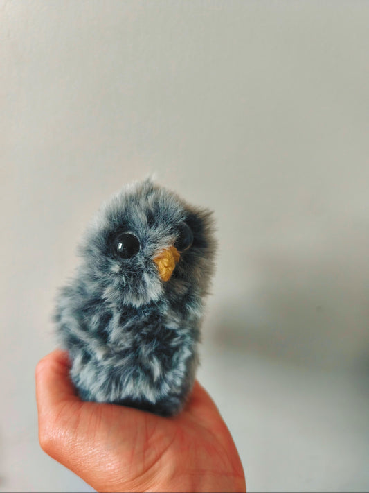 🦉 Lonni