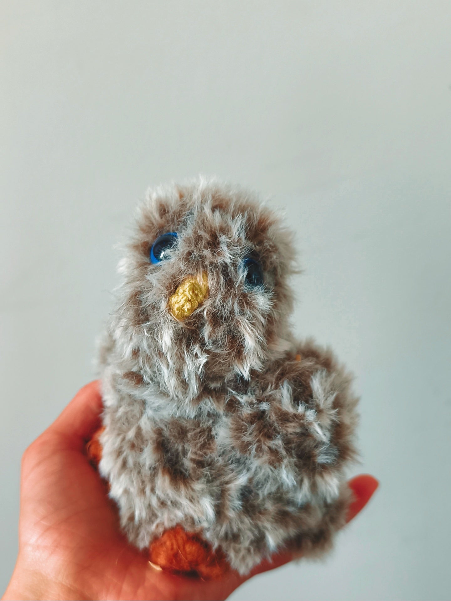 🦉Billy