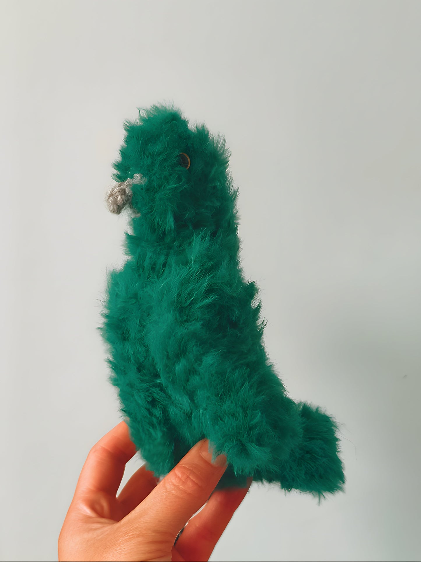 🦜 Perruche, budgie, Arwen