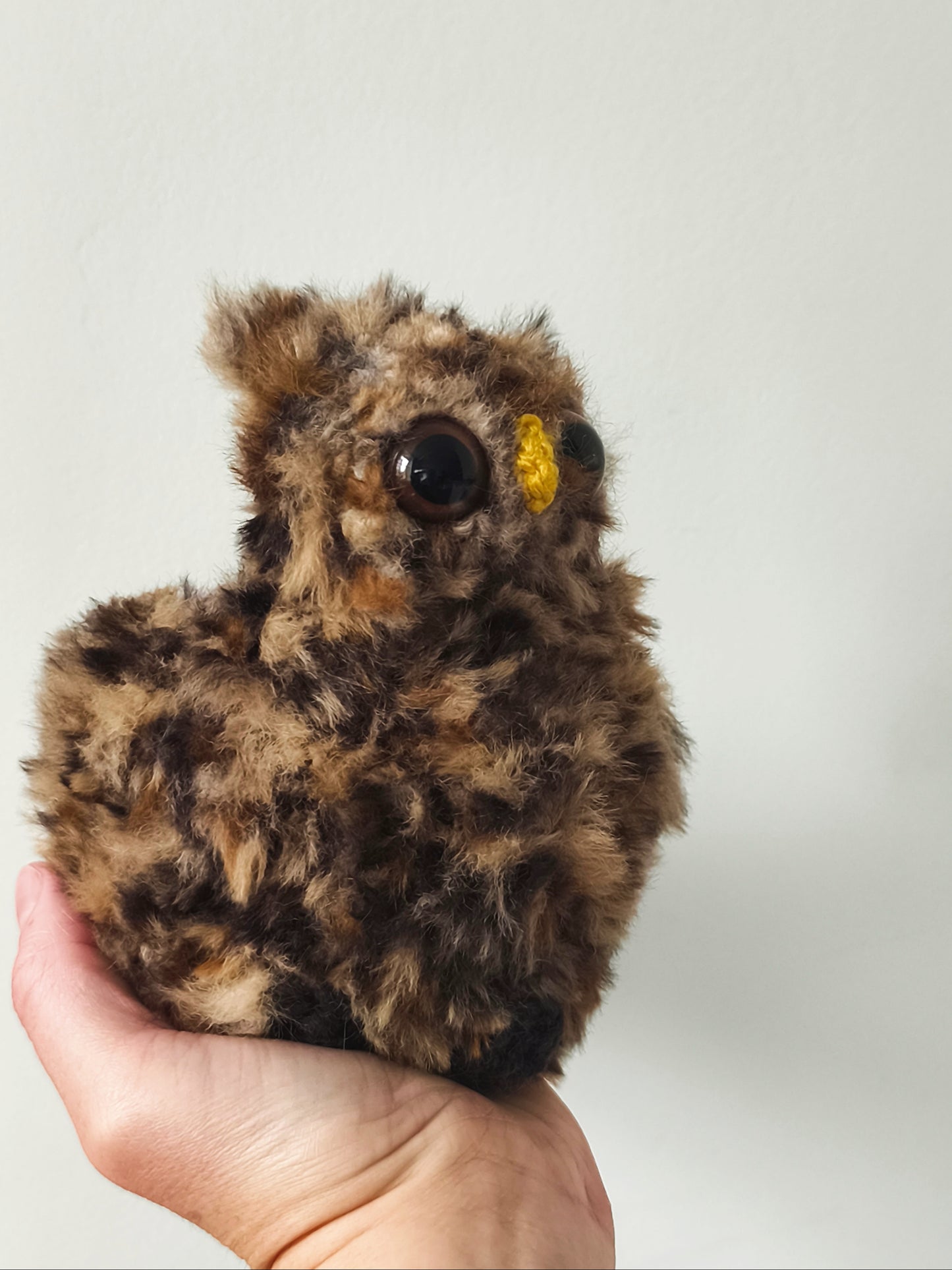 🦉 Gros hibou, big owl, Brownie